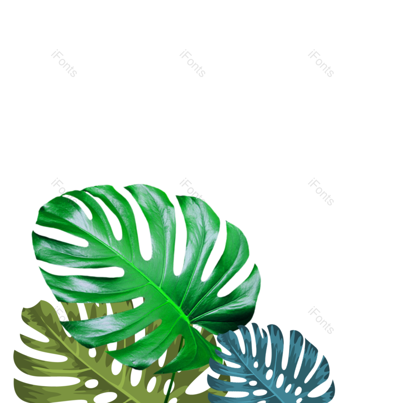 叶子图片,插画元素,花草PNG,树叶免抠素材